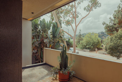 Untitled, The Neutra House